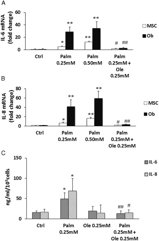 Ole prevented IL-6 and IL-8 expression stimulated by Palm. MSC and Ob were treated for 24 hours with increasing concentrations of Palm (0.25mM–0.50mM) ± 0.25mM Ole. IL-6 (A) and IL-8 (B) expressions were quantified by qPCR using the ΔΔCT method compared with Ctrl. Values were normalized for HPRT1 expression and are represented as mean ± SEM of 6 individual experiments. *, P < .01 and **, P < .001 vs Ctrl; #, P < .01 and ##, P < .001 vs 0.25mM Palm. C, IL-6 and IL-8 secretions were quantified in supernatants of MSC treated 48 hours with 0.25mM Palm ± 0.25mM Ole using ELISA kit. Values were normalized for 100 000 cells and are represented as mean ± SEM of 7 individual experiments. *, P < .05 vs Ctrl; #, P < .05 and ##, P < .01 vs 0.25mM Palm.
