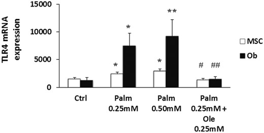 Ole abolished Palm-induced expression of TLR4. MSC and Ob were treated for 24 hours with Palm (0.25mM–0.50mM) ± 0.25mM Ole. TLR4 expression was quantified by qPCR using the standard curve method and normalized for HPRT1.Values are mean ± SEM of 6 individual experiments. *, P < .05 and **, P < .01 vs Ctrl; #, P < .05 and ##, P < .01 vs Palm 0.25mM.