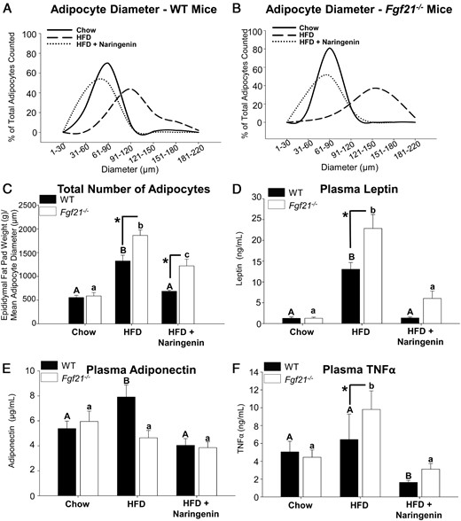 Adipocyte characteristics in HFD-fed WT and Fgf21−/− mice treated with naringenin. Male WT and Fgf21−/− mice were fed a chow diet, a HFD, or a HFD supplemented with 3% naringenin for 16 weeks (n = 6–7/group). A and B, Adipocyte diameter distribution. C, Quantitation of the total number of adipocytes. Plasma concentrations of leptin (D), adiponectin (E), and TNFα (F) are shown. Values are the mean ± SEM. Different upper-case letters indicate statistical significance among WT animals (P < .05). Different lower-case letters indicate statistical significance among Fgf21−/−mice (P < .05). *, Statistical significance between genotypes (WT vs Fgf21−/−) fed the same diet (P < .05).