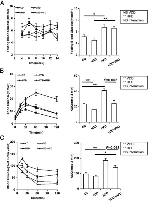 Effects of vitamin D deficiency on fasting blood glucose, glucose tolerance, and insulin tolerance. A, Fasting blood glucose was measured every 2 weeks (n = 20). Left, P < .001 (repeated measures ANOVA). NS, CD vs VDD; P < .001, CD vs HFD; P < .001, VDD vs VDD+HFD; P = .06, HFD vs VDD+HFD (LSD post hoc test). Right, Data of the endpoint of the experiment. B and C, GTT and ITT were performed 12 weeks after diet intervention. Data were expressed as mean ± SEM (n = 6). NS, nonsignificant. *, P < .05; **, P < .01.