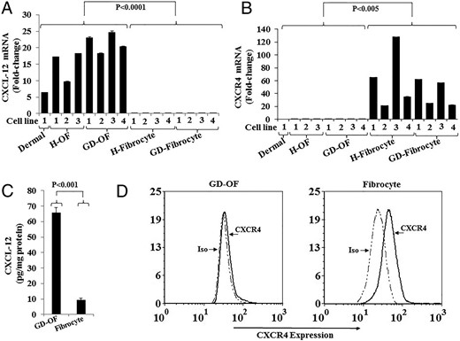 Expression of CXCL-12 and CXCR4 in orbital fibroblasts (OFs) and fibrocytes. Multiple strains of OF from healthy donors (H-OF), individuals with GD (GD-OF), and fibrocytes from healthy controls and patients with GD were cultured as described in Materials and Methods, cell layers harvested, RNA extracted, reverse transcribed, and subjected to real-time PCR for (A) CXCL-12 mRNA and (B) CXCR4 mRNA. C, Comparison between CXCL-12 production in GD-OF and fibrocytes. Medium was collected from confluent cultures and subjected to a specific CXCL-12 ELISA. Cytokine concentration was normalized to the protein content in the respective cell layers. Data are expressed as the mean ± SD of 3 independent replicates. D, Gating strategy of the cytometric analysis of CXCR4 displayed on the cell surface of GD-OF (left) and fibrocytes (right).