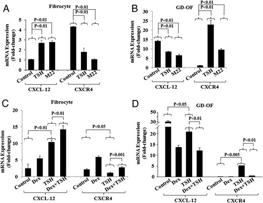 Effects of bTSH, M22, and Dex on CXCL-12 and CXCR4 expression in fibrocytes (A and C) and GD-OF (B and D). Confluent cultures were treated with nothing, bTSH (5 mIU/mL), M22 (1 μg/mL), and/or Dex (10nM) for 6 hours, alone or in the combination indicated. Cell layers were harvested and RNA extracted and subjected to real-time PCR for CXCL-12 and CXCR4 mRNA. Data are expressed as the mean ± SD of 3 independent replicates.