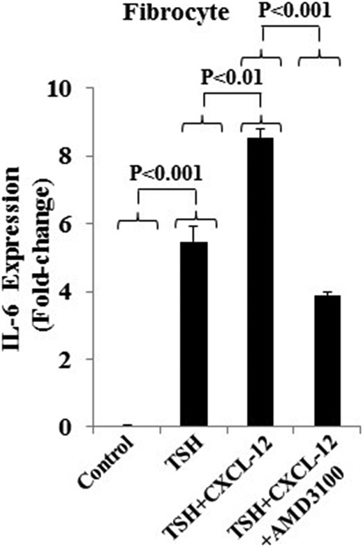 The effects of AMD3100 on the induction of IL-6 mRNA by rhCXCL-12 and bTSH. Confluent cultures of fibrocytes were treated with AMD3100 (5μM), bTSH (5 mIU/mL), and rhCXCL-12 (50 ng/mL) in the combinations indicated for 6 hours. RNA was extracted from monolayers and processed for real-time PCR for IL-6 mRNA. Data are expressed as the mean ± SD of 3 independent replicates.