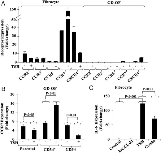A, Survey of chemokine receptor expression in fibrocytes and GD-OF. Fibrocytes were cultivated to confluence and then were treated with nothing or bTSH (5 mIU/mL) for 6 hours. Cell layers were harvested, RNA extracted, and subjected to real-time PCR for the targets indicated. B, Confluent GD-OFs were subjected to cell sorting into pure CD34+ and CD34− fibroblasts, recultured for 2 days and incubated without or with bTSH for the final 6 hours. Cell layers were harvested and RNA extracted and subjected to real-time PCR for CCR7 mRNA. C, Confluent fibrocytes were treated with rhCCL-21 (50 ng/mL) and bTSH (5 mIU/mL) alone or in combination for 6 hours. Monolayers were harvested, RNA extracted and processed for real-time PCR targeting IL-6 mRNA quantification. Data are expressed as the mean ± SD of 3 independent replicates.