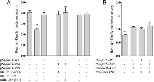Dual-luciferase assays for validating the interaction of miR-9 with potential target foxl3 in M albus. Psi-foxl3-WT, pSiCHECK-2 foxl3 WT plasmid; Psi-foxl2-WT, pSiCHECK-2 foxl2 WT plasmid; Psi-foxl3-Mta, pSiCHECK-2 foxl3 miR-430a Mt-type plasmid; Psi-foxl2-Mtb, pSiCHECK-2 foxl2 miR-430b Mt-type plasmid; Psi-foxl3-Mt9, pSiCHECK-2 foxl3 miR-9 Mt-type plasmid; miR-Lacz (NC), the miRNA mimic negative control. A, Dual-luciferase assay for validating the interaction between the miR-9 and foxl3 3′UTR. B, Dual-luciferase assay for validating the interaction between the miR-430b and foxl2 3′UTR. Luciferase activity of Renilla was normalized by firefly luciferase activity. Data were presented the mean ± SD (n = 3). *, P < .05 compared with mutant and negative control (NC) groups.