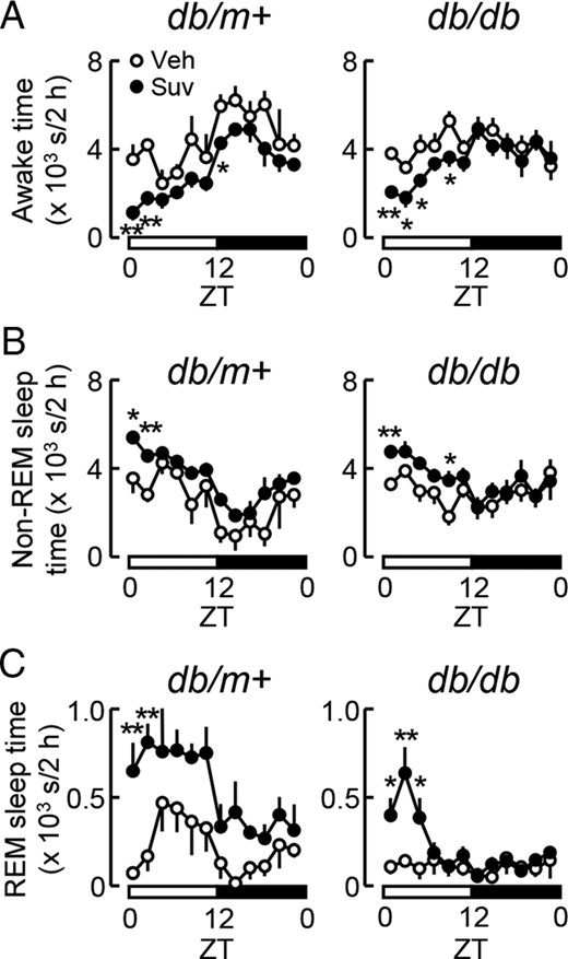 Influence of the single administration of suvorexant on sleep and wakefulness in db/m+ and db/db mice. Suvorexant (closed circles, Suv, 30 mg/kg) or vehicle (open circles, Veh) was administered by p.o. at ZT0 to male db/m+ and db/db mice at 11 weeks old. Mice were then subjected to sleep recordings. A–C, Daily changes in the awake (A), non-REM sleep (B), and REM sleep times (C) in db/db and db/m+ mice treated with suvorexant or vehicle. Values represent the times spent in each sleep/wake state every 2 hours in db/m+ (left) and db/db mice (right). Data were expressed as the mean ± SEM (db/m+, n = 3–4; db/db, n = 6). *, P < .05 and **, P < .01.