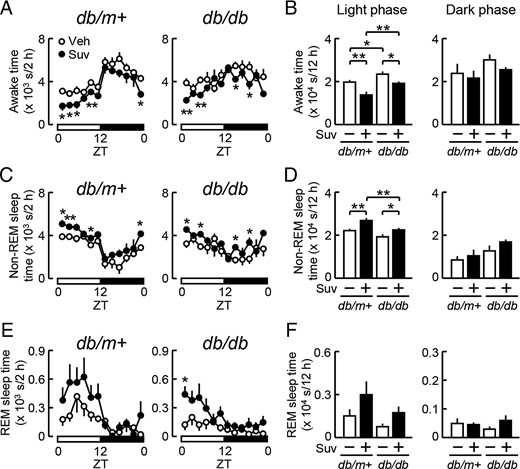 Influence of the daily administration of suvorexant on sleep and wakefulness in db/m+ and db/db mice. Male db/m+ and db/db mice at 11 weeks old were treated with suvorexant (closed symbols, Suv, 30 mg/kg) or vehicle (open symbols, Veh) once daily at ZT0 for 7 days. Mice were then subjected to sleep recordings to analyze awake (A and B), non-REM sleep (C and D), and REM sleep times (E and F). A, C, and E, Daily changes in the awake (A), non-REM sleep (C), and REM sleep times (E) in db/m+ (left) and db/db mice (right). Values represent the times spent in each sleep/wake state every 2 hours. B, D, and F, Total times spent in the awake (B), non-REM sleep (D), and REM sleep states (F) during the 12-hour light (left) and 12-hour dark (right) phase in db/m+ and db/db mice. Data used in A, C, and E were reevaluated in B, D, and F, respectively. Data were expressed as the mean ± SEM (db/m+, n = 3–6; db/db, n = 6). *, P < .05 and **, P < .01.