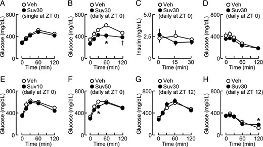 Pharmacological profiles of effects of suvorexant on glucose metabolism in db/db mice. Suvorexant (closed circles; Suv10, 10 mg/kg; Suv30, 30 mg/kg; Suv50, 50 mg/kg) or vehicle (open circles, Veh) was administered by p.o. once or daily at the indicated time of day to db/db mice (males, 11 wk old), and the glucose tolerance test (GTT) and insulin tolerance test (ITT) were then performed at ZT6. A, GTT after the single administration of suvorexant (30 mg/kg, ZT0) on day 1; n = 12. B, GTT after the daily administration of suvorexant (30 mg/kg, ZT0) for 3 weeks; n = 10–11. C, Changes in serum insulin levels during GTT conducted after the daily administration of suvorexant (30 mg/kg, ZT0) for 6 weeks; n = 6. D, ITT after the daily administration of suvorexant (30 mg/kg, ZT0) for 4 weeks; n = 4–5. E and F, GTT after the daily ZT0 administration of suvorexant at 10 mg/kg (E) or 50 mg/kg (F) for 2 weeks; n = 6. G, GTT after the daily administration of suvorexant (30 mg/kg, ZT12) for 3 weeks; n = 4–5. H, ITT after the daily administration of suvorexant (30 mg/kg, ZT12) for 4 weeks; n = 4–5. Data were the mean ± SEM. *, P < .05 and †, P < .1 vs vehicle.