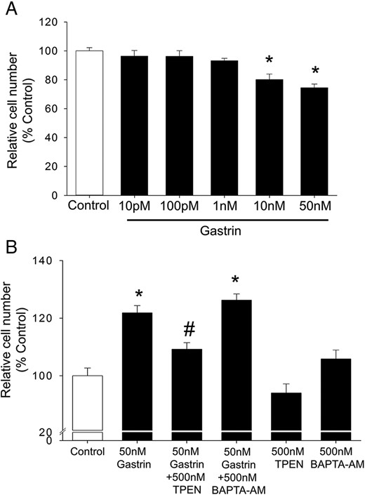 Gastrin directly inhibits cell proliferation but stimulates paracrine growth effects. A, Proliferation of AGS-CCK2R cells was assessed by MTT assay after exposure to the indicated concentrations of gastrin for 36 hours in a serum-free medium. Values are expressed as a percentage of untreated cells and are mean ± SEM of at least 3 separate experiments. *, P < .05 vs control. B, Proliferation of quiescent wild-type AGS cells was assessed after exposure to the conditioned media collected after the treatment of AGS-CCK2R cells with gastrin in the presence of absence of TPEN or BAPTA-AM. Values are expressed as a percentage of cells treated with control conditioned medium and are the mean ± SE of 3 separate treatments. *, P < .05 vs control; #, P < .05 vs 50nM gastrin-treated cells.