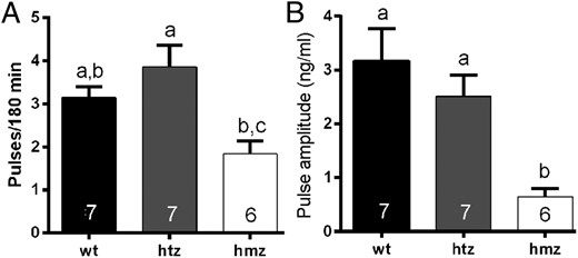 Histograms showing mean (±SEM) numbers of LH pulses detected over the 2-hour sampling period (A) and mean (±SEM) LH pulse amplitudes (B) of wild-type (wt) and heterozygous (htz) and homozygous (hmz) GNR23 littermate mice. Bars with different letters are significantly different from one another (see text; one way ANOVA with post hoc Tukey’s tests). Numbers at the base of each bar indicate animal N numbers.