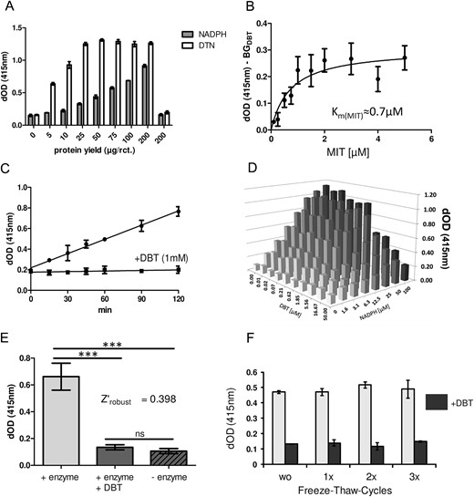 Nonradioactive detection of recombinant DEHAL1 activity. The photometric readout dOD at 415nm represents iodide release quantified by the Sandell-Kolthoff reaction. A, Iodide-release was concentration dependently related to the amount of added protein from DEHAL1-expressing HEK293 cells. A direct comparison indicates that DTN constitutes the superior reductant in comparison with NADPH with respect to the maximal velocity of iodide release (1 h of incubation, n = 4, mean ± SD). B, The Km value for MIT was determined in an experiment with various concentrations of MIT as substrate and incubation over a short time frame (1 h of incubation, 50-μg protein/reaction). C, Recombinant enzyme (50 μg/reaction, time course, n = 3, mean ± SD) was incubated with 20μM MIT with or without addition of DBT (f.c. 1mM). DBT inhibited the DEHAL1-dependent iodide release over the whole period of incubation time. The noninhibited reaction displayed an almost linear DEHAL1-dependent release of iodide from the substrate. D, Titrations of NADPH and DBT indicate that NADPH can serve as cosubstrate of the enzyme, whereas DBT inhibits DEHAL1-mediated iodide release (50 μg/reaction, 2 h of incubation, n = 1). E, Robustness of the assay was tested by comparing a high number of reactions with and without enzyme, as well as reactions with enzyme and surplus addition of DBT (f.c. 1mM). The DEHAL1-generated signal was distinguishable from BG with high significance. DBT in the given concentration was able to generate a BG signal without any significant difference from the reactions without enzyme (100-μg protein/reaction, 2 h of incubation, n = 32, mean ± SD, ANOVA with Bonferroni’s post hoc test). F, Repeated freeze-thaw cycles (without additional storage time) did not decrease enzymatic activity in murine kidney homogenate (100-μg protein/reaction, 3 h of incubation, n = 3).
