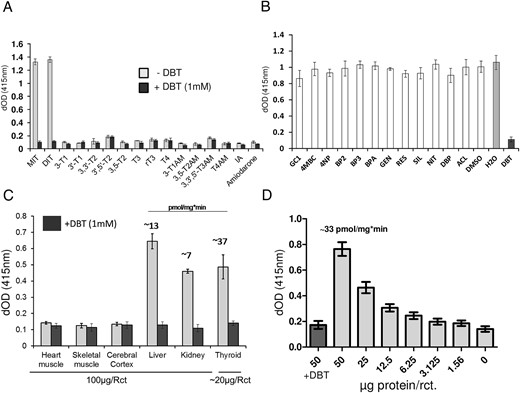 Test for alternative substrates, inhibitors, and applicability for ex vivo samples. A, A variety of TH metabolites, different thyronamines, and 2 iodine-containing drugs were incubated with recombinant DEHAL1 under standard reaction conditions (f.c. 10μM per substance, DTN as reductant), in the presence or absence of DBT as specific inhibitor. None of the tested compounds, except for the positive controls MIT and DIT, showed a DEHAL1-dependent iodide release (50-μg protein/reaction, 2 h of incubation, n = 3, mean ± SD). B, The coincubation of a number of compounds supposedly interacting with TR or other TH-binding sites was not strongly (decrease > 25%) affecting DEHAL1-mediated iodide release from MIT, except for the positive control substance DBT (50-μg protein/reaction, 2 h of incubation, DTN as cosubstrate, n = 4, mean ± SD). C, Various murine organs were compared regarding their endogenous Dehal1 activity. For heart muscle, skeletal muscle, cortex, liver, and kidney, 100 μg of protein homogenate were used to determine activity. Total thyroid glands were homogenized due to the low amount of material. An average amount of 20 μg of protein was available for the reactions. Three individual organs were analyzed for each tissue (3 h of incubation, n = 3). A detectible amount of Dehal1-dependent iodide release was found for liver, kidney and thyroid only, which is in accordance to the literature. By the use of potassium iodide standard curves, an estimation of specific activity for these 3 organs was achieved. Average activities are given in the figure above the respective bar graphs. D, Human thyroid tissue was homogenized and various amounts of resulting protein homogenates were used in the respective reactions (2 h of incubation, n = 4). For the highest protein concentration, another set of reactions was prepared including DBT (1mM) as negative control. DEHAL1-dependent iodide release declined, as expected, with decreasing amounts of protein. The addition of DBT suppressed DEHAL1 activity and BG signal in these samples was equal to control reactions without enzyme.