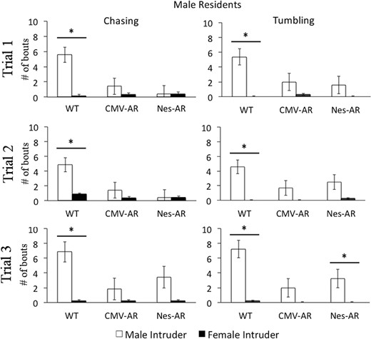 Aggressive behaviors displayed by male residents towards male (white bars) and female (black bars) intruders across trials 1–3. On all trials, WT male residents chase and tumble with male intruders more than female intruders. Both CMV-AR and Nes-AR male residents chase and tumble less with male intruders compared than WT male residents, and do not aggress more with a male intruder compared with female intruder, with the exception that Nes-AR males tumble more with male intruders on trial 3. *, P < .05; &, P < .1. Error bars, ±SE.
