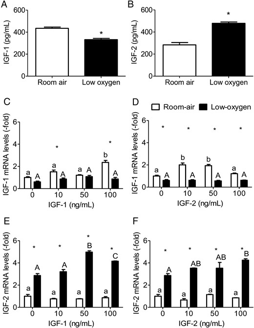 Expression of IGF-1 and IGF-2 is dependent on oxygen tension. By ELISA, IGF-1 (A) and IGF-2 (B) levels were measured in cell culture media from PMSCs cultured for 72 hours in serum-free media in either room air or low oxygen (one way ANOVA, P < .05, n = 6). *, Comparison between room air and low oxygen. By real-time PCR, expression level of IGF-1 (C and D) and IGF-2 (E and F) mRNA were measured relative to RPL13a in PMSCs treated for 48 hours in either room air or low-oxygen tension with varying (0, 10, 50, 100 ng/mL) IGF-1 or IGF-2 concentration. Values are presented as relative expression compared with 0 ng/mL IGF-1 or IGF-2 in room air, which was set to 1.0 (two way ANOVA, P < .05, n = 3). a, Comparison between IGF concentration in same oxygen tension; *, comparison between room air and low oxygen. Low-oxygen tension decreased IGF-1 but increased IGF-2 expression in PMSCs.