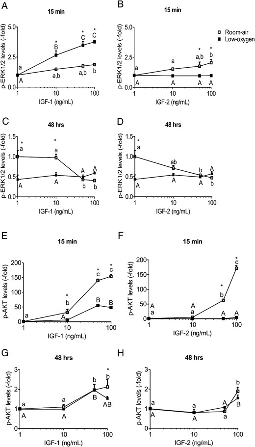 ERK1/2 and AKT phosphorylation is IGF concentration and oxygen tension dependent. PMSCs were stimulated for 15 minutes or 48 hours in room air or low-oxygen tension with increasing concentrations (0, 10, 50, 100 ng/mL) of IGF-1 or IGF-2. From immunoblotting, levels of p-ERK1/2 (A–D) and p-AKT (E–H) were normalized to total kinase and β-actin. Values are presented as relative expression compared with 0 ng/mL IGF-1 or IGF-2 in room air, which was set to 1.0 (two way ANOVA, n = 3, P < .05). a, Comparison between IGF concentration in same oxygen tension; *, comparison between room air and low oxygen. In the short term, low-oxygen tension potentiates p-ERK1/2 signal and represses p-AKT. In the long term, low-oxygen tension, maintains a tight lowered level of p-ERK1/2 and elevated p-AKT levels.