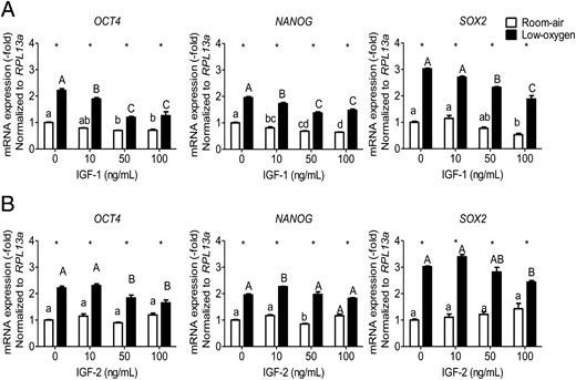 OCT4, NANOG, and SOX2 expression is affected by IGF-1 or IGF-2 concentration and oxygen tension. PMSCs were cultured for 48 hours in either room air or low-oxygen tension in the presence or absence of IGF-1 (A) or IGF-2 (B) (0, 10, 50, 100 ng/mL). By real-time PCR, the expression levels of OCT4 or NANOG or SOX2 mRNA were measured relative to RPL13a as an endogenous control in the presence of IGF-1 or IGF-2. Values are presented as relative expression compared with 0 ng/mL IGF-1 or IGF-2 in room air, which was set to 1.0 (two way ANOVA, n = 3, P < .05). a, Comparison between IGF concentration in same oxygen tension; *, comparison between room air and low oxygen. Low-oxygen tension increased multipotency gene expression in which IGF treatment reduces them (more with IGF-1 than IGF-2).
