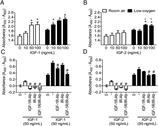 IGF-mediated proliferation is regulated by oxygen tension and specific-receptor stimulation. By WST-1, proliferation was measured with increasing concentrations (0, 10, 50, 100 ng/mL) of IGF-1 (A) or IGF-2 (B) for 48 hours or with 5 μg/mL neutralizing antibodies IGF-1R-Ab or IR-Ab with (50 ng/mL) IGF-1 (C) or IGF-2 D) for 24 hours in room air or low-oxygen tension (two-way ANOVA, n = 8, P < .05). +, Comparison between IGF concentration in same oxygen tension; *, comparison between room air and low oxygen; #, effect of antibody neutralization as compared with the absence of antibody. Low-oxygen tension enhanced PMSC proliferation and potentiated the IGF effect in increasing PMSC proliferation. IGF-1R with IGF-1 and IR with IGF-2 are responsible for IGF-mediated signaling, especially under low-oxygen tension conditions. Cell counting results are shown in Supplemental Figure 5.