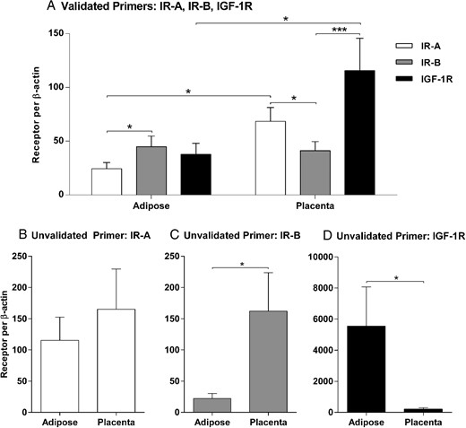 Comparison of two different primer sets used to quantify relative receptor expression in adipose and placenta tissue. Similarities and discrepancies in the expression of IR-A, IR-B, and IGF-1R in adipose and placenta using the validated primer set (A) or the unvalidated primer set (B–D) are shown. The qRT-PCR assay with the validated primers enables direct quantification of relative receptor expression levels due to assay validation and optimization. Thus, the mean ± SEM for each receptor is presented on the same scale as shown in panel A. The unvalidated primers were designed and used according to common practices; thus, they provide a quantification of individual receptor expression and cannot be used to compare levels of different receptors in a given tissue. The mean ± SEM for each receptor are shown in three separate graphs: IR-A (B), IR-B (C), and IGF-1R (D). *, P < .05; **, P < .001.