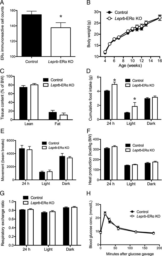 A, Confirmation of the ERα KO using immunohistochemistry revealed a significant reduction in ERα-immunoreactive cells in the MnPO in LepRb-ERα KO mice compared with littermate controls. Mice with ERα deletion from LepRb neurons do not show altered body weight gain (B), whole-body lean or fat mass (C), ambulatory movement (E), heat production (F), RER (G), or glucose disposal after an OGTT (H). D, Cumulative food intake was not different between the groups during the dark phase but was increased during the light phase in Leprb-ERα KO mice compared with controls. *, P < .05. Error bars denote SEM.