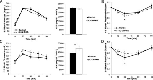 Insulin and glucose tolerance testing. IGTT was performed in 6.5-month-old (A) and 12.5-month-old (C) iC-GHRKO (n = 8) and control littermates (n = 24) after a 12-hour fast and an injection of 10 μL/g body weight of a 10% glucose solution. Area under the curve of the glucose tolerance testing was calculated for both groups. Intraperitoneal ITT was performed in 6.5-month-old (B) and 12.5-month-old (D) nonfasted iC-GHRKO (n = 8) and control littermates (n = 24) after an injection of 1 U/kg body weight insulin. *, Significant difference between genotypes (P < .05). AUC, area under curve.