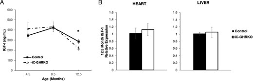 Circulating IGF-1 and IGF-1 mRNA quantification. A, Circulating levels of IGF-1 at 4.5, 8.5, and 12.5 months of age in iC-GHRKO (n = 8) and control (n = 24) littermates. B, RTqPCR analysis of IGF-1 in heart and liver of iC-GHRKO (n = 5) and control (n = 15) littermates at 12.5 months of age. *, Significant difference between genotypes (P < .05).