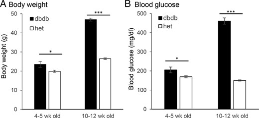 A and B, Comparison of body weight (A) and blood glucose (B) between db/db mice (filled columns) and heterozygous control (het) mice (open columns) at 4–5 weeks of age (prediabetic, n = 12 db/db, and n = 11 heterozygous mice) and 10–12 weeks of age (diabetic, n = 24 db/db, and n = 22 heterozygous mice). *, P < .05; ***, P < .001.