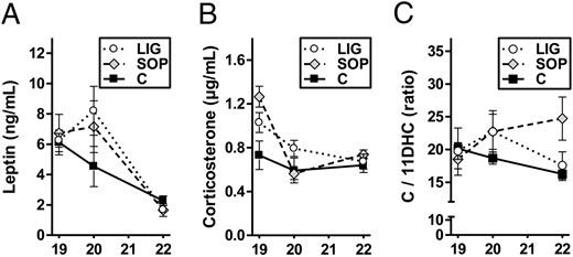 Spontaneous circulating leptin concentrations (A) and corticosterone concentrations (B) as well as the ratio of corticosterone (C) to 11-dehydrocorticosterone (11DHC; panel C) concentrations in dams of the groups LIG, SOP, and C on gestational days E19 (4 h after surgery in groups LIG and SOP), E20 (24 h after surgery in groups LIG and SOP), and E22 (72 h after surgery in groups LIG and SOP) are displayed. LIG, E19, n = 4; SOP, E19, n = 4; C, E19, n = 4; LIG, E20, n = 6; SOP, E20, n = 4; C, E20, n = 4; LIG, E22, n = 4; SOP, E22, n = 3; C, E22, n = 6. One leptin outlier was identified by Grubb's test in group C on day E22 and excluded. For group legends see the picture. Data are shown as mean ± SEM.