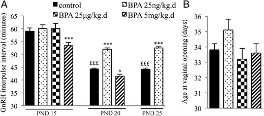 Effects of postnatal BPA exposure for 5 days on pulsatile GnRH secretion and female pubertal timing. A, GnRH IPI in vitro using hypothalamic explants obtained on PND15, PND20, or PND25 from female rats after exposure from PND1 to PND5 to vehicle, 25 ng/kg·d, 25 μg/kg·d, or 5 mg/kg·d of BPA. B, Age at VO in female rats exposed from PND1 to PND5 to vehicle, 25 ng/kg·d, 25 μg/kg·d, or 5 mg/kg·d of BPA. Data are mean ± SEM; *, P < .05 and ***, P < .001 vs control at the same age; £££, P < .001 vs control at PND15.