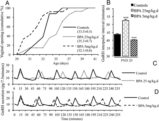 Effects of postnatal BPA exposure for 15 days on pulsatile GnRH secretion and female pubertal timing. A, Cumulative percentage of female rats displaying VO in relation to age in animals exposed from PND1 to PND15 to vehicle or 25 ng/kg·d or 5 mg/kg·d of BPA. Mean age at VO ± SEM for each group is indicated in brackets. B, GnRH IPI in vitro using hypothalamic explants obtained on PND20 from female rats after exposure from PND1 to PND15 to vehicle or 25 ng/kg·d or 5 mg/kg·d of BPA. Data are mean ± SEM. ***, P < .001, vs control group. C and D, Individual representative profiles of GnRH secretion after neonatal exposure to vehicle or BPA 25 ng/kg·d or 5 mg/kg·d.