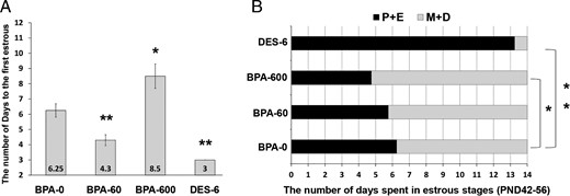 Chronic exposure to BPA adversely affects the onset of puberty and duration of stages during the estrous cycles. Prepubertal CD-1 female mice at PND22 were exposed to 0, 60, or 600 μg/kg · d of BPA (n = 8–10) and 6 μg/kg · d of DES (n = 3) as depicted in Figure 1. Vaginal smears were examined daily. A, Pubertal onset (first estrus). The values represent the number of days from the time of exposure to the appearance of the cornified vaginal epithelial cells. B, Estrous cycles. The values represent the average number of days the mice spent from PND42 to PND56 at proestrous and estrous (P+E) or metestrous and diestrous (M+D) stages of the estrous cycles. Numerical data were analyzed by one-way ANOVA followed by Dunnett's post hoc analysis and expressed as mean ± SEM. Asterisks indicate significant difference from the control group; *, P < .05; **, P < .01.