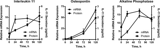 Time course demonstrating TSH-mediated up-regulation of mRNA and protein expression of IL-11, OPN, and ALPL. U2OS-TSHR cells were treated with 100-mU/mL bTSH in EMEM supplemented with 0.1% BSA. Cell lysates were analyzed by RT-qPCR. ALPL was detected by Western blotting using tissue-nonspecific anti-ALPL antibodies. IL-11 and OPN secretion were measured by ELISAs in cell culture medium. The data are from 3 independent experiments with duplicate samples and are presented as the mean ± SEM.