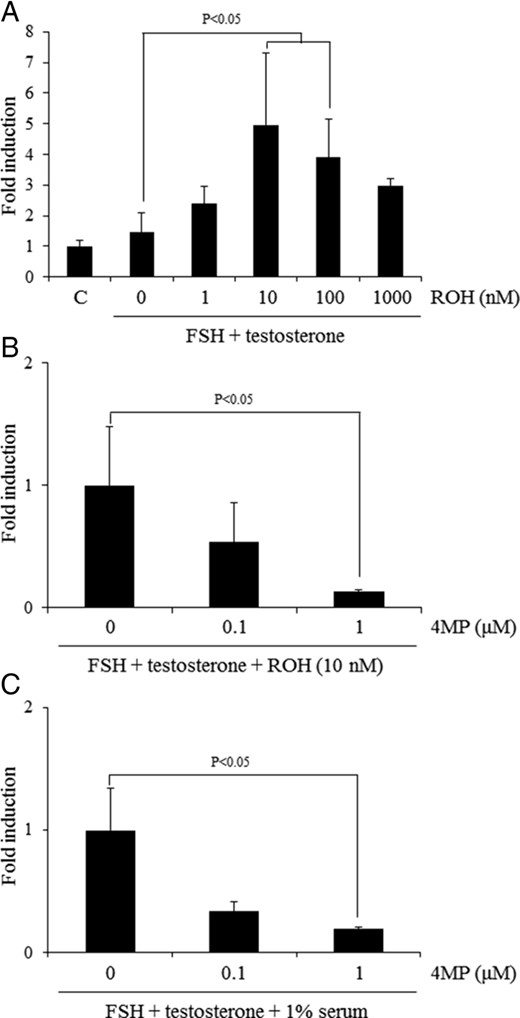 The effect of activation of the RA synthesis from retinol in the ovary on the Lhcgr expression. A, The effects of additional retinol (ROH) to FSH+T-containing medium on the expression of Lhcgr when the ovary was cultured in the absence of serum. For reference, the control (C) value was set as 1, and the data are presented as fold induction. The addition of 10 or 100 nM of retinol (ROH) to FSH and T-containing medium significantly increased the expression level of Lhcgr as compared with those in the ovaries cultured for 48 hours with FSH and T (P < .05). Values are mean ± SEM of three replicates. B, The conversion from retinol to RA is required for the induction of Lhcgr expression in vitro under serum-free condition. For reference, FSH+T+ROH (10 nM) value was set as 1, and the data are presented as fold induction. **, The treatment with 1 μM 4MP significantly decreased the expression level of Lhcgr as compared with that in ovary cultured with FSH and T with 10 nM of retinol (ROH) (P < .05). Values are mean ± SEM of three replicates. C, Ovaries of immature day 21 mice were embedded in alginate gels and then cultured for 48 hours without any hormones. The conversion from retinol to RA is required for the induction of Lhcgr expression in vitro under 1% serum condition. For reference, FSH+T value was set as 1, and the data are presented as fold induction. ***, The treatment with 1 μM 4MP significantly decreased the expression level of Lhcgr as compared with that in ovary cultured with FSH and T (P < .05). Values are mean ± SEM of three replicates.
