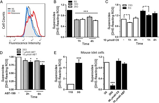 Effects of acute Bcl-2 inhibition on superoxide levels in β-cells. A, Representative flow cytometry measurement of superoxide in MIN6 cells that were cultured overnight in 25 mmol/L glucose (25G; normal glucose concentration), 5 mmol/L glucose (5G; low glucose concentration), or treated with 1 μmol/L rotenone for 1 hour. B, Superoxide levels expressed as units of mean fluorescence intensity in the different glucose concentrations, normalized to the levels in 5G. Following culture in low glucose, stimulatory glucose was added to the cells, and superoxide levels were measured at the indicated time points (n = 5–7 from at least 3 independent experiments); ***, P < .001 vs 5G. C and D, Superoxide levels in MIN6 cells that were treated with the Bcl-2/Bcl-xL inhibitor C6 in the presence of 5G and 25G (C) or with the specific Bcl-2 inhibitor ABT-199 in the presence of 25G (D). Results were normalized to superoxide levels in 25G containing DMSO vehicle (n = 3–6 from at least 3 independent experiments); *, P < .05; ***, P < .001 vs DMSO-treated cells. E, Superoxide levels in dispersed mouse islet cells. Left, Cells were incubated in RPMI 1640 with 11 mmol/L glucose (11G; normal glucose concentration) or 3 mmol/L glucose (3G) for 1 hour; ***, P < .001 vs 11G. Right, After 1 hour of preincubation in 3G, cells were stimulated for 2 hours with 20 mmol/L glucose or with either 40 μmol/L C6 or 10 μmol/L ABT-199 in 3G (n = 4 from 2 independent experiments); ***, P < .001 vs 3G.