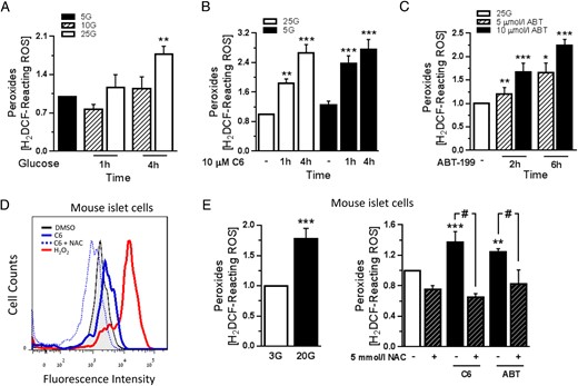 Acute Bcl-2 inhibition increases peroxide levels in β-cells. A, MIN6 cell peroxide levels expressed as mean fluorescence intensity, normalized to the levels in 5 mmol/L glucose (5G; low glucose). After overnight culture in 5G, MIN6 cells were stimulated with 10 or 25 mmol/L glucose (10G or 25G) and peroxide levels were measured (n = 4 from 4 independent experiments); **, P < .01 vs 5G. B and C, Peroxide levels in MIN6 cells that were treated with the Bcl inhibitor C6 in the presence of 5G and 25G (B) or the specific Bcl-2 inhibitor ABT-199 in the presence of 25G (C). Results are normalized to peroxide levels in 25G containing DMSO vehicle (n = 3–6 from 4 independent experiments); *, P < .05; **, P < .01; ***, P < .001 vs the corresponding DMSO-treated cells. D and E, Representative flow cytometry measurement of peroxides in dispersed mouse islet cells (D) and quantification of peroxide levels in the indicated treatments (E). Cells were incubated in 3 mmol/L glucose (3G; white bar) with or without 5 mmol/L NAC for 1 hour, followed by treatment with 20 mmol/L glucose, 40 μmol/L C6, or 10 μmol/L ABT-199 for 2 hours or 100 μmol/L H2O2 for 1 hour. Bcl-2 inhibitors and H2O2 were added in the presence of 3G (n = 4–6 from at least 3 independent experiments); **, P < .01; ***, P < .001 vs DMSO-treated cells; #, P < .05.