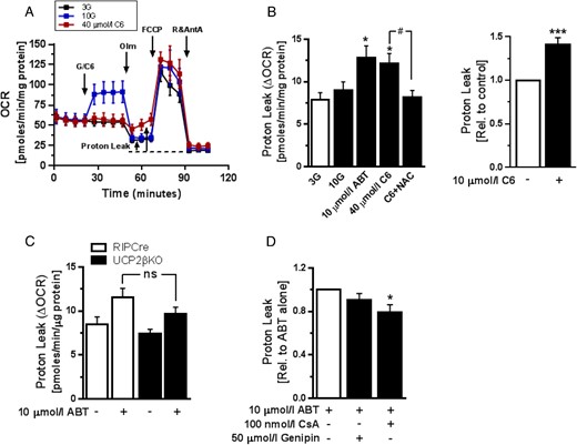 Acute Bcl-2 inhibition promotes ROS-dependent mitochondrial proton leak. The bioenergetics of MIN6 or dispersed mouse islets cells after glucose stimulation or Bcl inhibition were studied using an XFe96 Extracellular Flux Analyzer. A, Representative mitochondrial respiration assay in dispersed mouse islet cells (see Research Design and Methods; n = 4). B, left, Quantification of mitochondrial proton leak in dispersed mouse islet cells following the indicated treatments. Cells were preincubated with 5 mmol/L NAC for 1 hour. Bcl-2 inhibitors were added in the presence of 3 mmol/L glucose (3G) (n = 10–12 from 3 independent experiments); *, P < .05 vs 3G; #, P < .05. Right, Proton leak in MIN6 cells treated with C6 in the presence of 5 mmol/L glucose (n = 5 from 2 independent experiments); ***, P < .001 vs DMSO-treated cells. C, Comparison of mitochondrial proton leak induced by 10 μmol/L ABT-199 in islet cells from UCP2βKO and control RIPCre mice in the presence of 3G (n = 6 and n = 4, respectively, from 3 independent experiments). D, The effects of UCP2 inhibition with 50 μmol/L genipin or mPTP inhibition with 100 nmol/L CsA on ABT-199-induced mitochondrial proton leak in C57BL/6J mouse islet cells. Measurements were made in the presence of 3G (n = 8 from at least 2 independent experiments); *, P < .05.