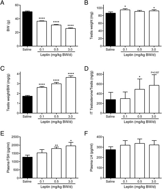 BW (A), absolute testis weight (B), testis weight relative to BW (C), intratesticular (IT) testosterone relative to testis weight (D), and plasma (E) FSH and (F) LH in chronic (12 wk) leptin administration groups. Data are presented as mean ± SE and represent n ≥ 6 per group; *, P < .05; **, P < .01; ****, P < .0001 compared with saline controls.