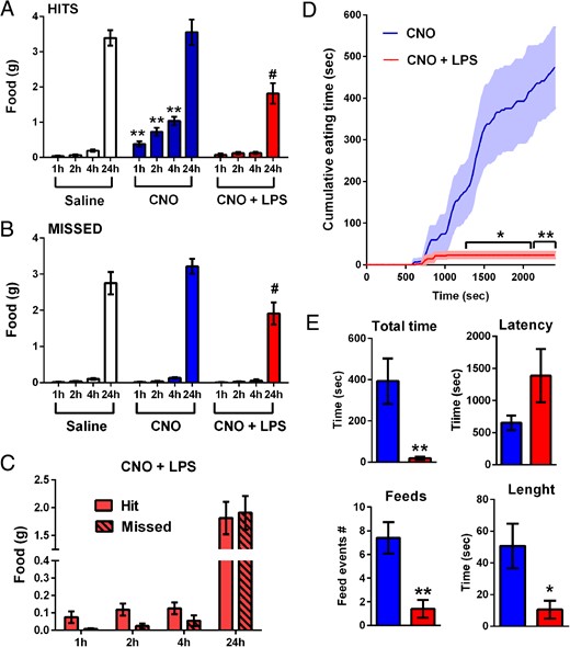A and B, Graphs illustrating the cumulative food intake in response to saline (white), CNO (blue; 1 mg/kg, ip), or CNO combined with LPS (red; 100 μg/kg, ip) of AgRP-Cre mice at different time points postinjection (x-axis). Data included were analyzed using a one-way ANOVA (treatment factor) separately run at each individual time point, comparing the mean of each column to the mean of every other column, followed by Tukey's post hoc test; **, P < .01 compared with saline-treated mice at same time point; #, P < .05 compared with saline and CNO group at the same time point. C, Graph illustrating the compared food intake of hit and missed groups after the coadministration of CNO and LPS (red). Data were analyzed using two-way ANOVA (group and time factors), comparing each cell mean with the other cell mean in that row, followed by Sidak's post hoc test. Data were not significantly different. Data in A–C are expressed as the mean of cumulative food intake (g) ± SEM. Groups consisted of n = 9–13 mice. D, Graph illustrating the cumulated time spent eating of AgRP-Cre mice (n = 5) in response to CNO (blue) or CNO combined with LPS (red). Shaded areas correspond to the SEM. Data were analyzed using Student's unpaired t test of the mean of each row; *, P < .05 compared with CNO; **, P < .01 compared with CNO. E, Graphs illustrating feeding parameters in the mice described in D. Data were analyzed using Student's unpaired t test; *, P < .05 compared with CNO; **, P < .01 compared with CNO.