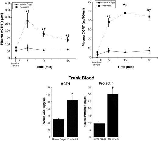 Validation experiment 2: plasma hormone levels in adrenal-intact rats left in their home cage or placed in restraint immediately after vehicle infusion. Plasma ACTH (upper left line graph) and plasma CORT (upper right line graph) from repeated jugular vein blood samples are shown. Rats were given a vehicle injection immediately after a baseline blood sample and were then either placed into a restraint tube (n = 6) or remained in their home cage (n = 6). *, Significantly different from home cage rats at the same time point (P < .05); ‡, significantly different from baseline for the same treatment condition (P < .05). The lower bar graphs show plasma ACTH and prolactin in trunk blood collected from rats immediately after the last repeated blood sample (∼30 minutes after restraint onset). *, Significantly different from home cage (P < .05).