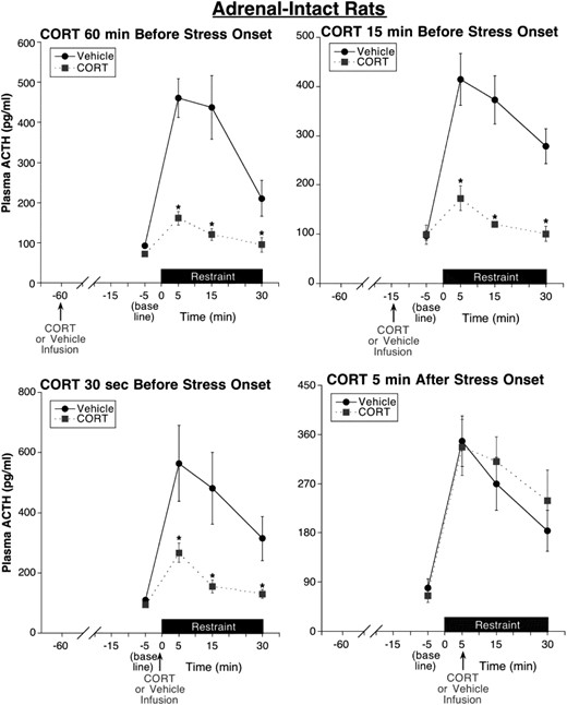 Experiment 3: test of CORT fast feedback, silent period, and delayed feedback in adrenal-intact rats. CORT infusion (0.31 mg/kg) 60 minutes (delayed feedback test), 15 minutes (silent period test), or 30 seconds (fast feedback test) prior to restraint onset substantially suppressed restraint-induced ACTH levels compared with time-matched vehicle infusion. In contrast, CORT infusion 5 minutes after restraint onset (fast feedback test) had no significant effect on subsequent stress-induced ACTH levels for the time period examined, suggesting a stress-state fast feedback resistance. Note the substantial inhibition produced by the very short (30 sec) prestress treatment interval and the similarly effective inhibition produced by the 15-minute CORT prestress treatment, a pretreatment interval resulting in declining CORT levels at the time of stress onset (see Figure 2), suggesting an absence of a putative feedback silent period. *, Significantly different from vehicle-treated rats at same time point (P < .05; n = 8–9).