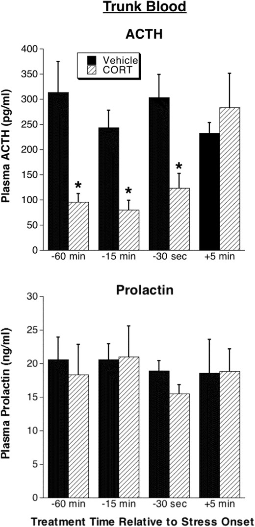 Experiment 3: comparison of trunk blood plasma ACTH and prolactin levels. Trunk blood was collected immediately after the last serial blood sample (30 min after restraint onset; see Figure 4) in rats given CORT or vehicle infusions 60 minutes, 15 minutes, or 30 seconds prior to restraint onset or 5 minutes after restraint onset. *, Significantly different from rats receiving vehicle treatment at the same time relative to stress onset (P < .05; n = 8–9).