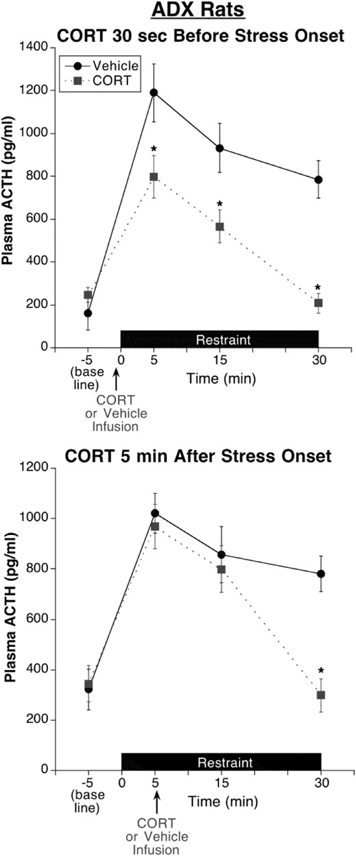 Experiment 4: test of stress state resistance to CORT fast feedback in ADX rats. All rats were adrenalectomized and implanted with jugular vein catheters 5 days prior to test day. CORT infusion (0.31 mg/kg) 30 seconds prior to restraint onset significantly suppressed restraint-induced ACTH levels at each of the poststress time points examined, including the first time point 5 minutes after restraint onset. CORT infusion 5 minutes after restraint onset produced a delayed inhibitory effect that was evident by 25 minutes but not 10 minutes after infusion. Note the absence of this delayed inhibitory effect in adrenal-intact rats given CORT infusion 5 minutes after restraint onset (Figure 4). *, Significantly different from vehicle-treated rats at the same time point (P < .05; n = 6).