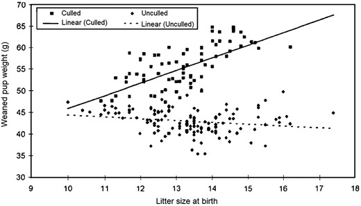 Group mean litter size at birth and weaned pup weight (from Ref. 11). These data demonstrate that pups experience catch-up growth after culling to 8 pups by postnatal day 4. The intensity of catch-up growth positively correlates with initial litter size. As a result, by the time of weaning, pups from the largest culled litters have attained the heaviest body weights.