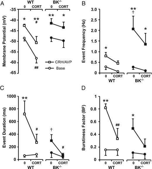 CORT regulates excitability independently of BK channels. Wild-type (WT) and BK−/− cells were treated for 100 minutes with 100 nM CORT and compared with respective untreated controls (0). CRH/AVP stimulation evoked a significant depolarization in all groups (A). BK−/− cells had an increased CRH/AVP-evoked frequency compared with wild types, and CORT can modulate frequency through BK-independent mechanisms (B). Secretagogue-induced bursting was decreased in BK−/− cells, and CORT treatment resulted in a further decrease in mean event duration (C) and burstiness factor (D). Data are means ± SEM (n = 8 per group). *, P < .05, **, P < .01 compared with base values; #, P < .05, ##, P < .01 compared with respective untreated controls; †, P < .05 compared with untreated wild-type cells (two way ANOVA with Bonferroni post hoc analysis).