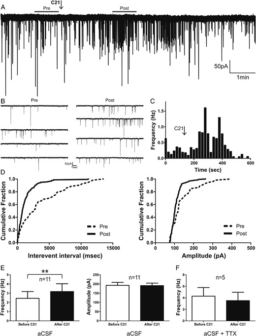 Activation of AT2R increases GABAergic synaptic activity in PVN eGFP-AVP neurons. A, Representative trace of IPSCs in voltage-clamp mode (holding potential, −70mV) of a PVN eGFP-AVP neuron before and after a transient bolus of C21 (arrow). B, Representative recording segments of IPSCs before and after C21 application are shown at an expanded time scale visualization. C, Summary plot of mean IPSC frequency vs time from the example shown in A (time bin, 20). D, Cumulative histograms of interevent interval (left) and amplitude (right) of GABAA IPSCs before and after C21 application. E, Summary data of mean frequency and amplitude of GABAA IPSCs in eGFP-AVP neurons before and after C21 exposure. F, Summary data of mean GABAA IPSCs frequency in eGFP-AVP neurons before and after C21 in the presence of TTX (0.5μM). Bars, SEM; **, P < .01.