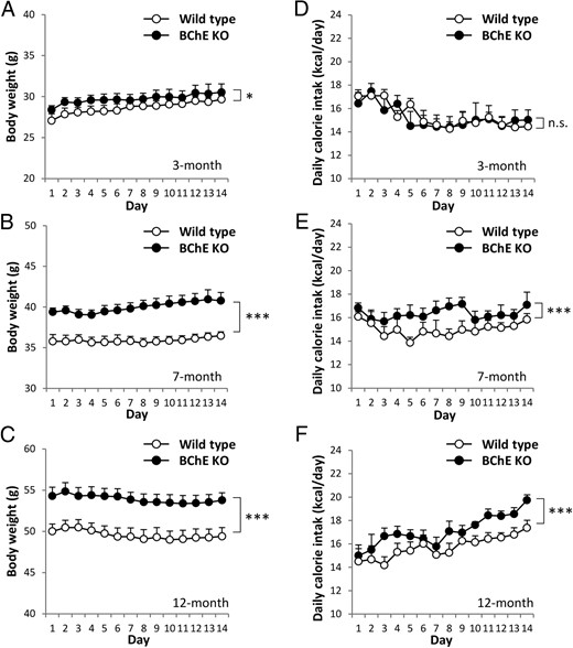 Daily calorie intake in single-housed mice. Body weights (A–C) and daily calorie intake (D–F) of 3-, 7-, and 12-month-old mice were measured every day for 2 weeks. Data are mean ± SEM (n = 8). n.s., not significant; *, P < .05; ***, P < .001 vs wild-type control.