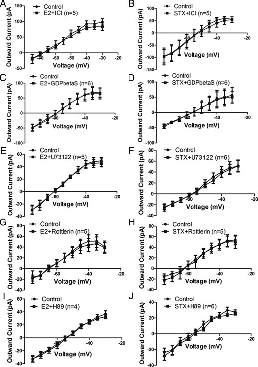 Gq-mER mediates the inhibitory effect of E2 and STX on the M-current via PLC-PKCδ-PKA signaling pathway in PVH CRH neurons. I-V plots of M-current from −75 to −30 mV under control conditions and E2 (100nM) or STX (100nM) when coperfused with (A and B) ER antagonist ICI (1μM, both n = 5), (C and D) with Gq inhibitor GDPβS (2mM, both n = 6) intracellularly dialyzed through patch pipette, (E and F) with PLC inhibitor U73122 (10μM, E2: n = 5, STX: n = 6), (G and H) with selective PKCδ inhibitor rottlerin (5μM; both n = 5), and (I and J) with specific PKA inhibitor H89 (10μM, E2: n = 4, STX: n = 6). All data were analyzed with a repeated-measures, two-way ANOVA and post hoc Newman-Keuls comparisons.
