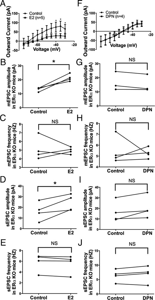 E2, but not the ERβ-selective agonist DPN, modulates M-current, mEPSC, and sEPSC in PVN CRH neurons from ERα KO females. A, I-V plot of M-current from −75 to −30 mV under control and E2 (10 min, 100nM) conditions in ERα KO females (n = 5, P < .05 at −40, −35, and −30 mV). E2 perfusion rapidly potentiates (B) the amplitude but not (C) the frequency of mEPSC and (D) the amplitude but not (E) the frequency of sEPSC in ERα KO females (n = 4 each). DPN (10 min, 100nM) perfusion in ERα KO females had no significant effect on (F) the M-current, mEPSC (G) amplitude or (H) frequency, or sEPSC (I) amplitude or (J) frequency (n = 4 each). All I-V plots were analyzed with a repeated-measures, two-way ANOVA and post hoc Newman-Keuls comparisons. EPSC data were analyzed by a paired Student's t test (*, P < .05). NS, no significant difference (P > .05).