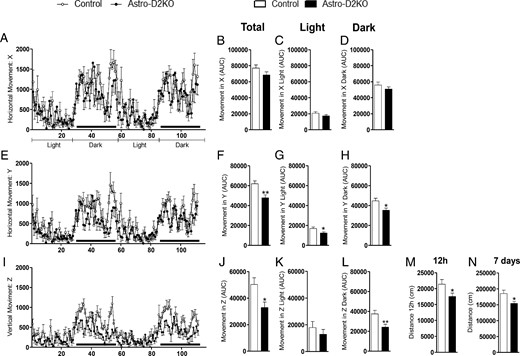 Forty-eight-hour locomotion profile in Astro-D2KO mice. A, Horizontal movement (X) registered for 48 hours during light and dark cycles. B, Area under the curve (AUC) of total X. C, AUC of X during light cycle. D, AUC of X during dark cycle. E, Same as in panel A, except that what is shown is horizontal movement (Y). F, Same as in panel B, except that what is shown is Y. G, Same as in panel C, except that what is shown is Y. H, Same as in panel D, except that what is shown is horizontal movement (Y). I, Same as in panel A, except that what is shown is vertical movement (Z). J, Same as in panel B, except that what is shown is vertical movement (Z). K, Same as in panel C, except that what is shown is vertical movement (Z). L, Same as in panel D, except that what is shown is vertical movement (Z). M, Traveled distance during the initial 12 hours in CLAMS. N, Traveled distance during 7 days in CLAMS. Values are the mean ± SEM (n = 12–13). *, P < .05, **, P < .01 compared with control mice.