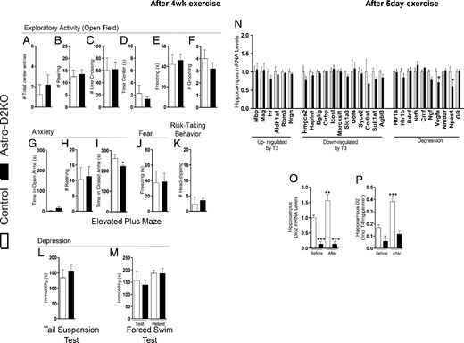 Behavior phenotype and hippocampal gene profile in Astro-D2KO mice after treadmill exercise. A–M, Behavioral tests after 4 weeks of running exercise on treadmill. A–F, OFT. A, Total number of center entries. B, Total number of rearing. C, Total number of line crossing. D, Total time in center. E, Total time of freezing. F, Total number of grooming. G–K, EPM. G, Time spent in open arms. H, Total number of rearing. I, Time spent in closed arms. J, Total time of freezing. K, Total number of head-dips. L, TST, time of immobility. M, FST, time of immobility. N–P, Astro-D2KO after treadmill exercise for 5 days. N, mRNA levels of T3 responsive genes and genes related to depression in hippocampus. O, Dio2 mRNA levels in hippocampus, before and after exercise, measured by RT-qPCR and using CycloA as the internal control. P, D2 activity in hippocampus, before and after exercise. Values are the mean ± SEM (n = 3–6). *, P < .05, ***, P < .001 compared with control mice.