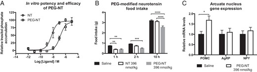 Pegylated NT. A, PEG-NT had a lower potency (26-fold) compared with native NT but had similar efficacy in an in vitro inositol trisphosphate accumulation assay. B, PEG-NT (396 nmol/kg) inhibited feeding for up to 10 hours, whereas native NT (396 nmol/kg) suppressed feeding only during the first hour after administration. C, PEG-NT (396 nmol/kg) increased mRNA levels of POMC 4 hours after injections (n = 3–4, A, and n = 7–8, B and C). Data were tested with a two-way ANOVA repeated measures (B) and unpaired two-tailed t test (C). *, P < .05; **, P < .01; ***, P < .001; ****, P < .0001. Error bars represent SEM.